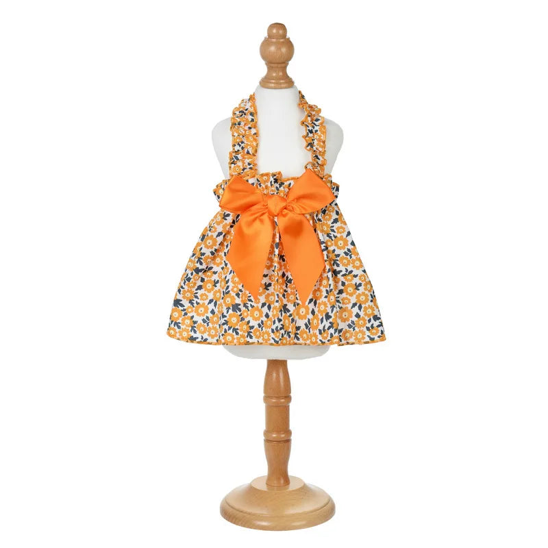 Cat Clothes Summer Cat Clothes Kitten Clothes Cute Little Dress for Cats Princess Wind Cat Dress Small Teddy Pet Clothes